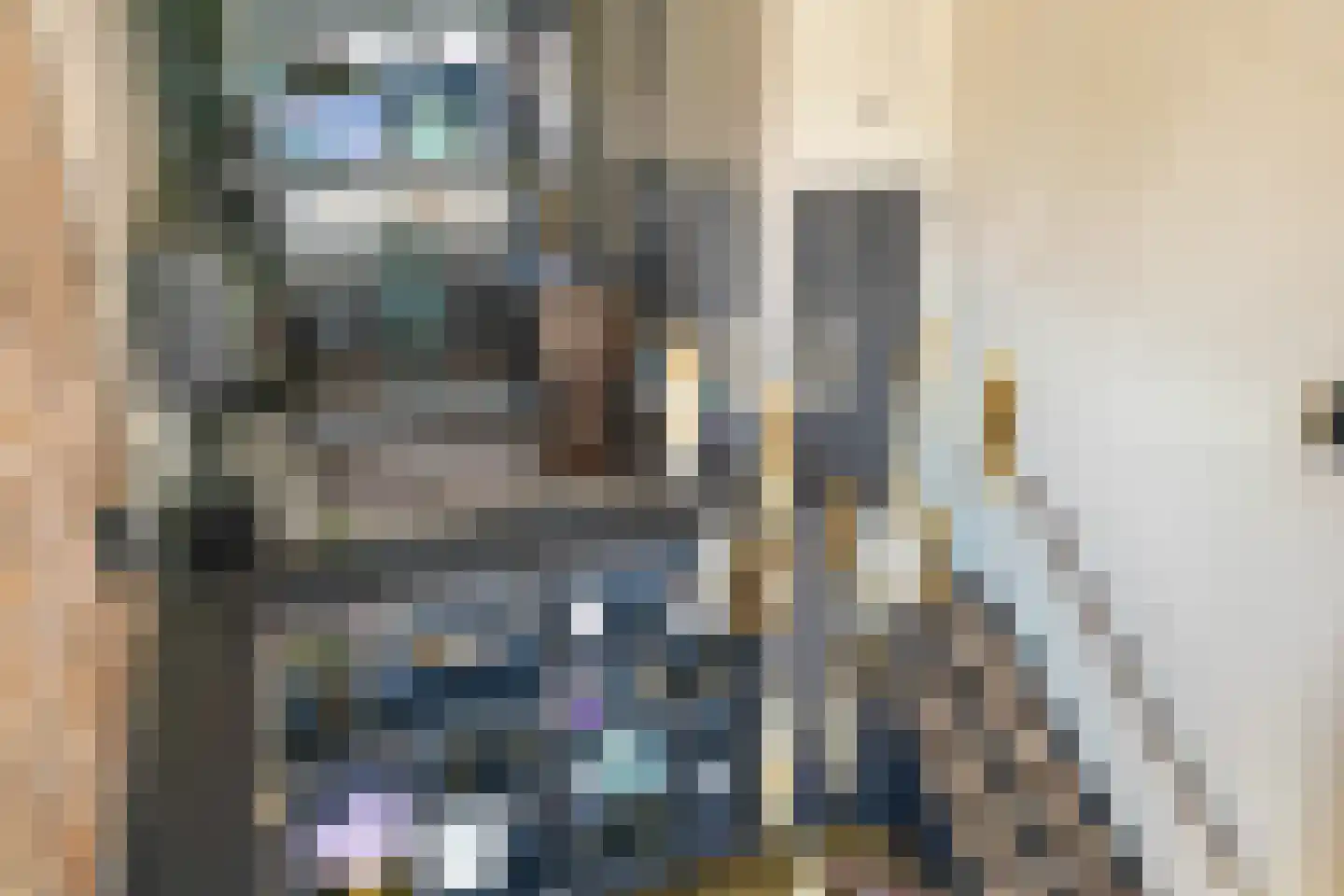 Van Ravesteijnkade 29 Leidschendam thumbnail 9