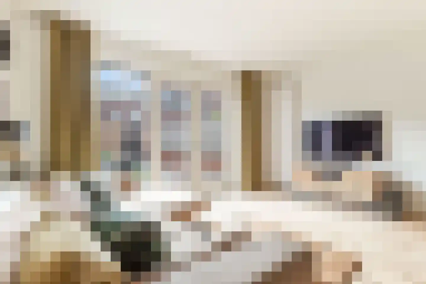 Van Ravesteijnstraat 3 Utrecht thumbnail 13