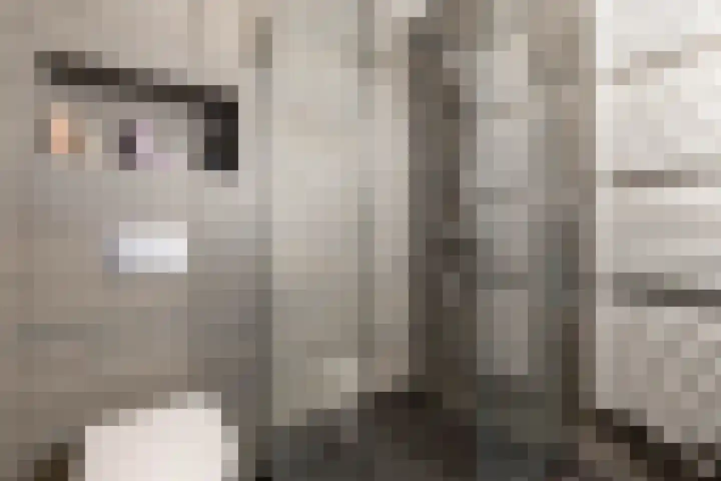 Van Ravesteijnstraat 3 Utrecht thumbnail 35