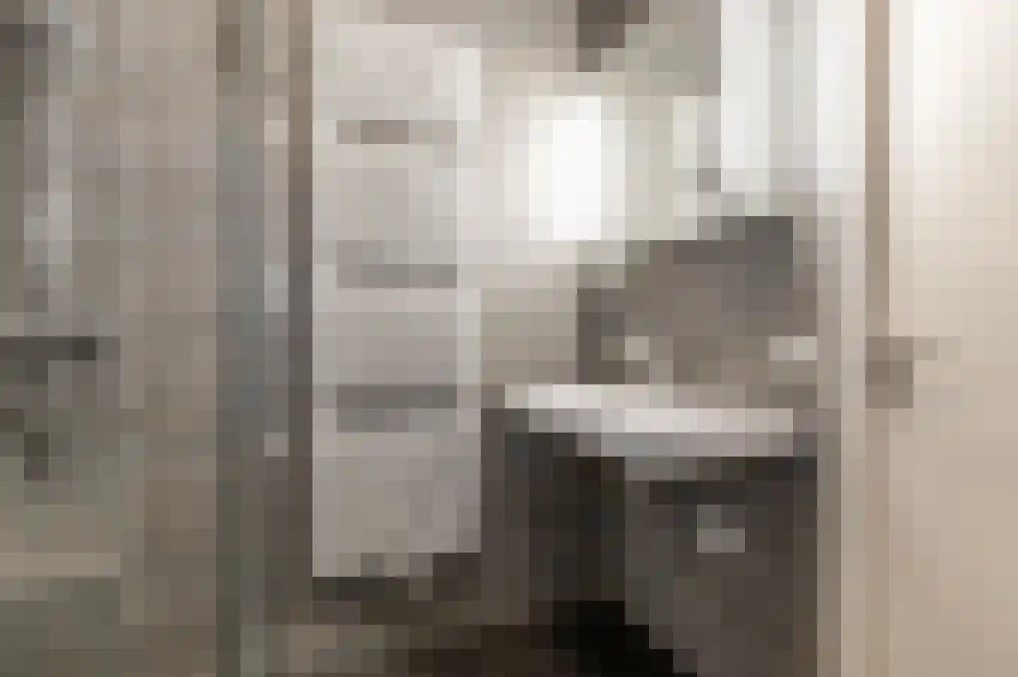 Van Ravesteijnstraat 3 Utrecht thumbnail 36
