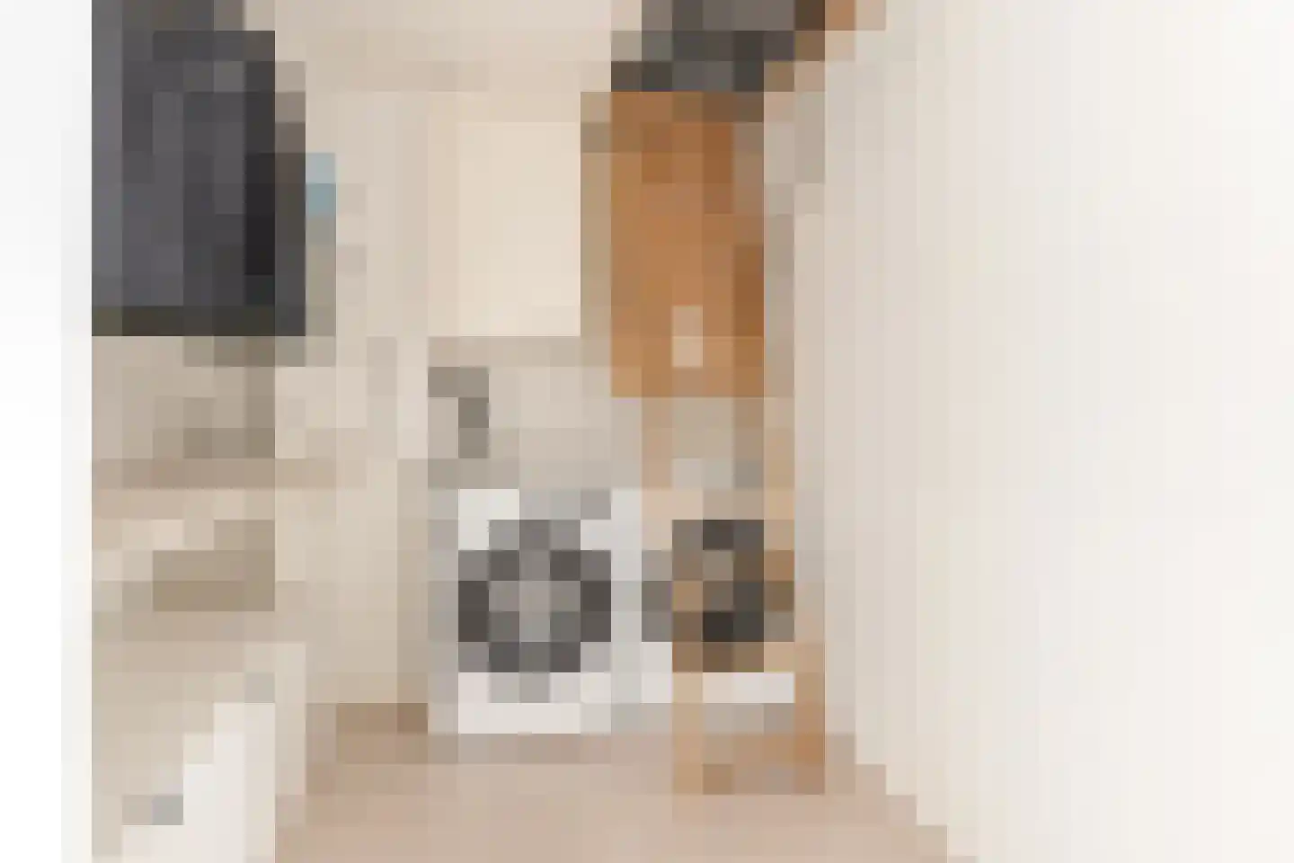 Van Ravesteijnstraat 3 Utrecht thumbnail 46