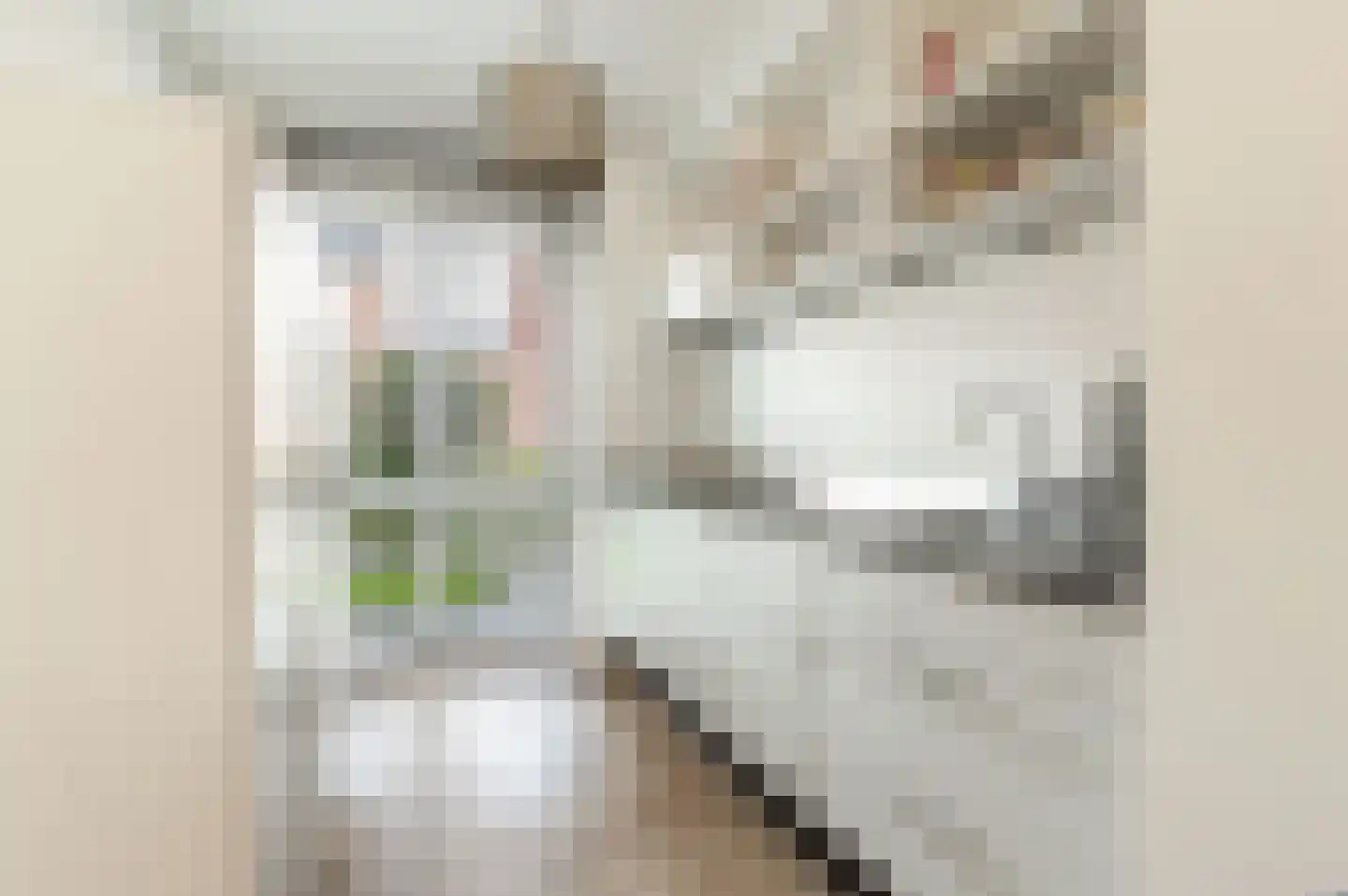 Van Ravesteijnstraat 3 Utrecht thumbnail 6