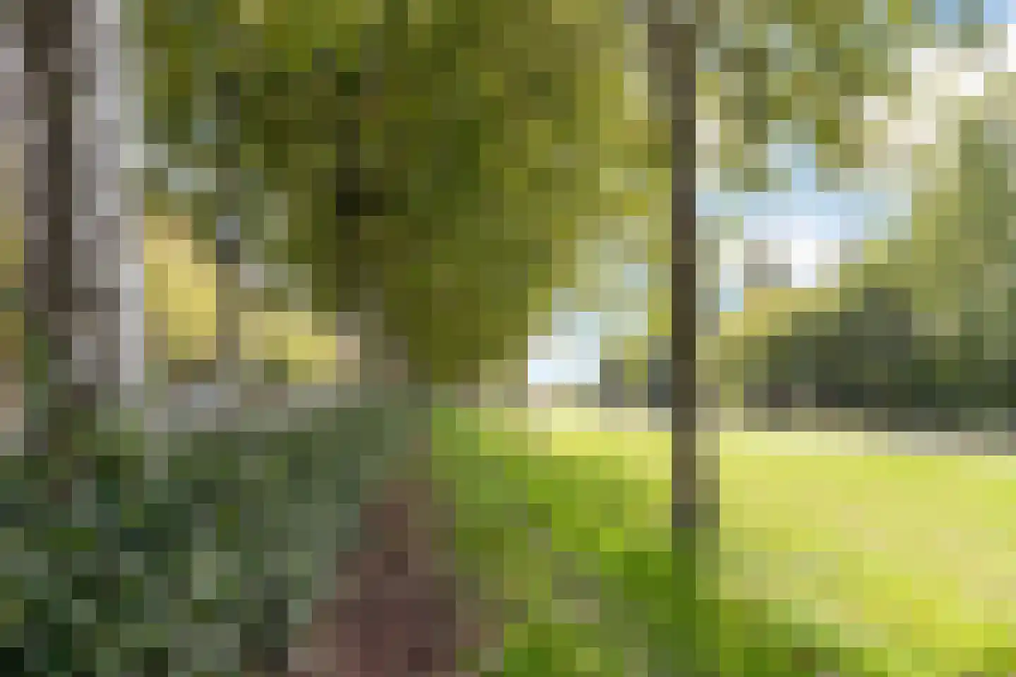 Van Ravesteijnstraat 3 Utrecht thumbnail 60