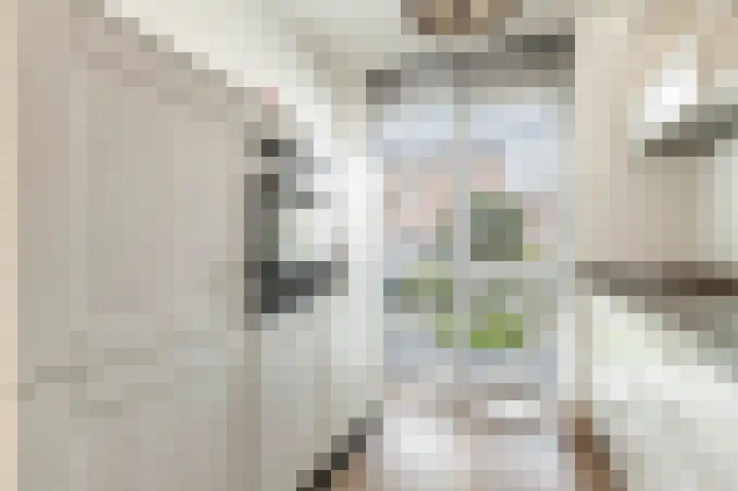 Van Ravesteijnstraat 3 Utrecht thumbnail 7
