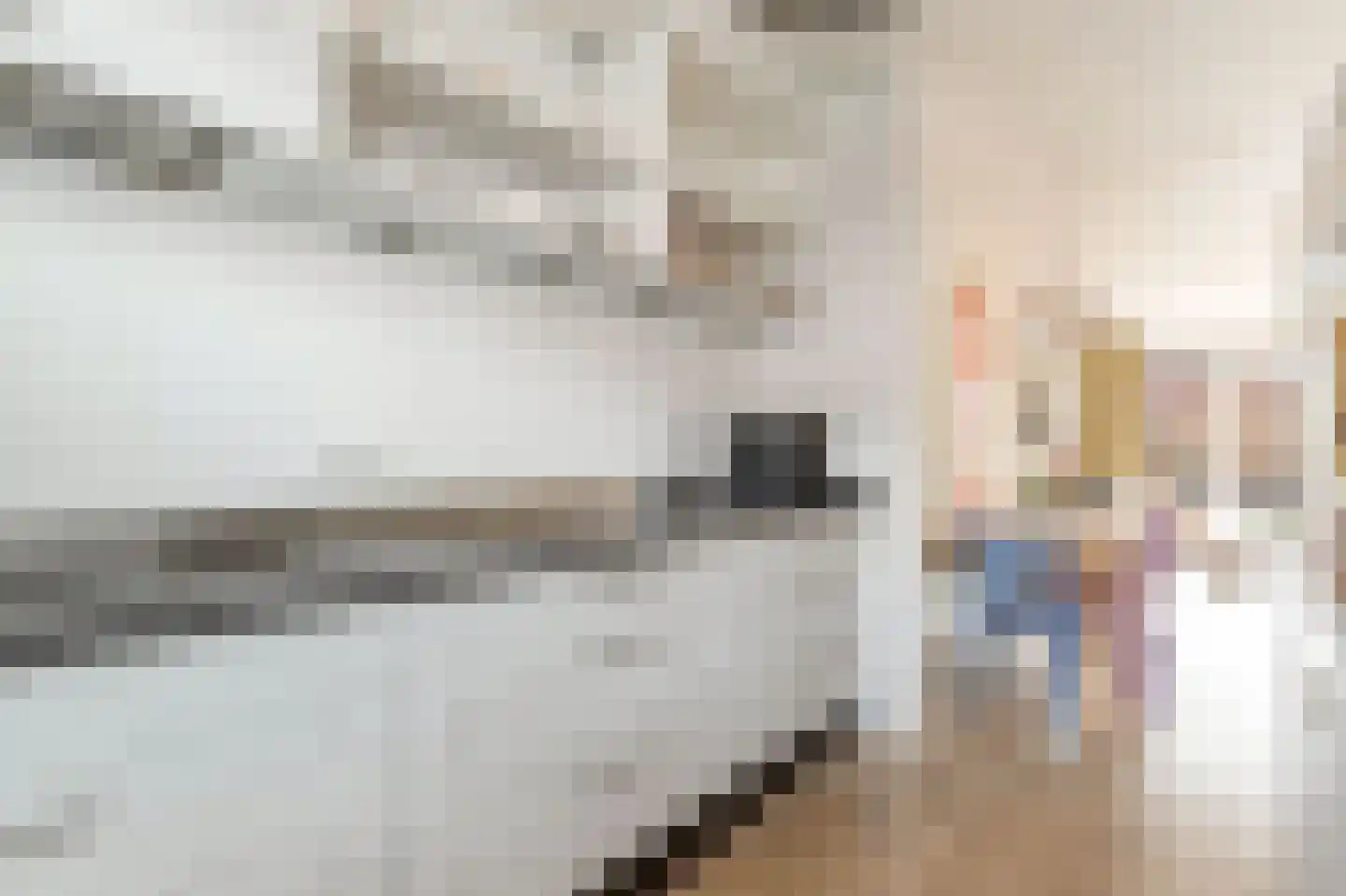 Van Ravesteijnstraat 3 Utrecht thumbnail 8