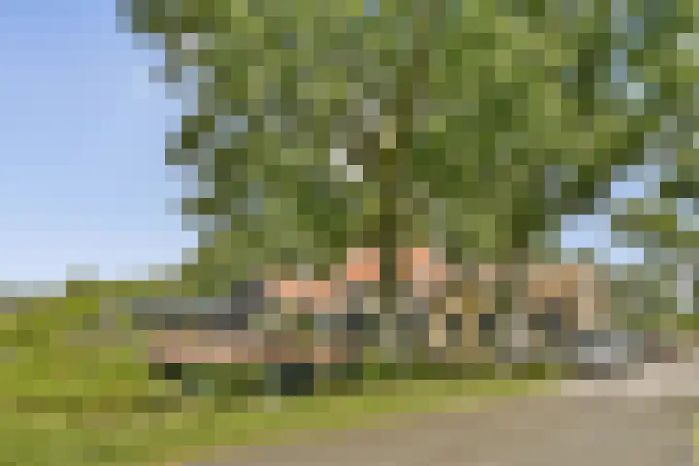 Van Ravesteyn-erf 144 Dordrecht thumbnail 30