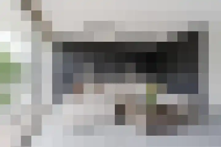 Van Ravesteyn-erf 150 Dordrecht thumbnail 4