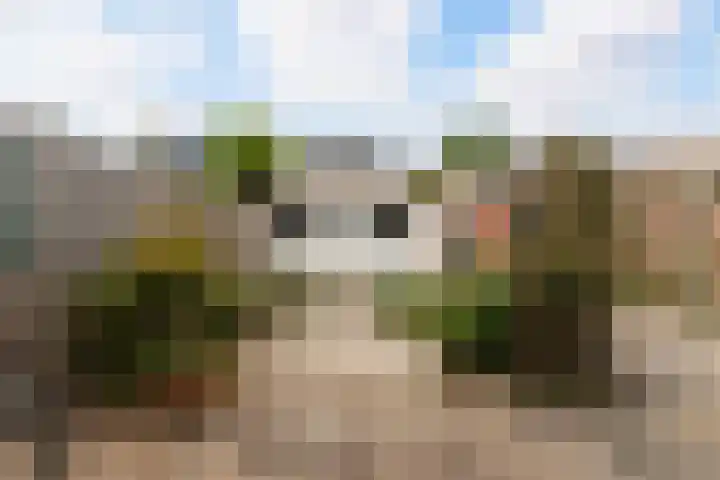 Van Ravesteyn-erf 24 Dordrecht thumbnail 5