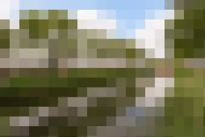 Van Ravesteyn-erf 24 Dordrecht thumbnail 6
