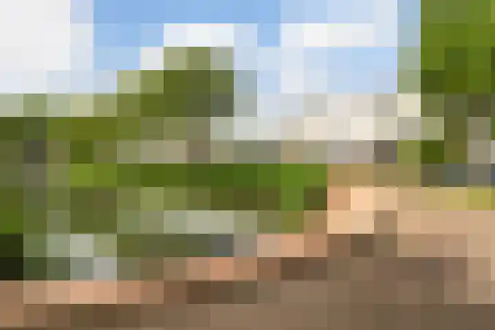 Van Ravesteyn-erf 24 Dordrecht thumbnail 7