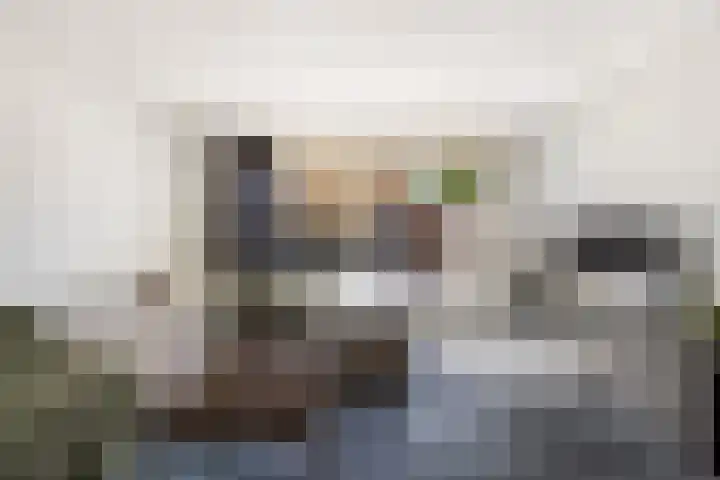 Van Ravesteyn-erf 255 Dordrecht thumbnail 10