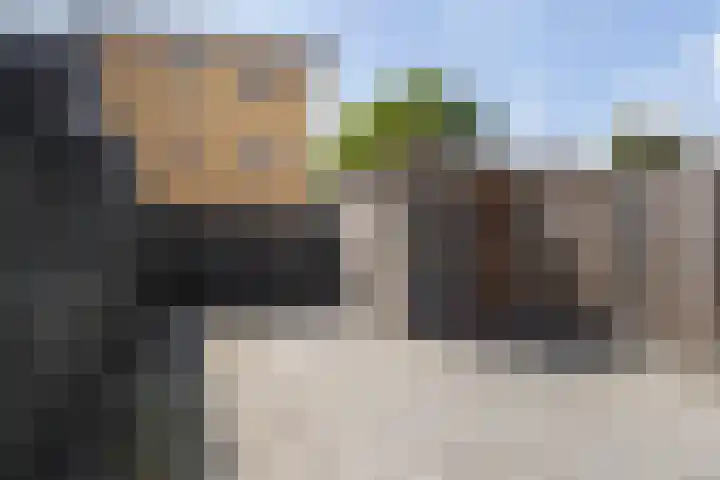 Van Ravesteyn-erf 255 Dordrecht thumbnail 32
