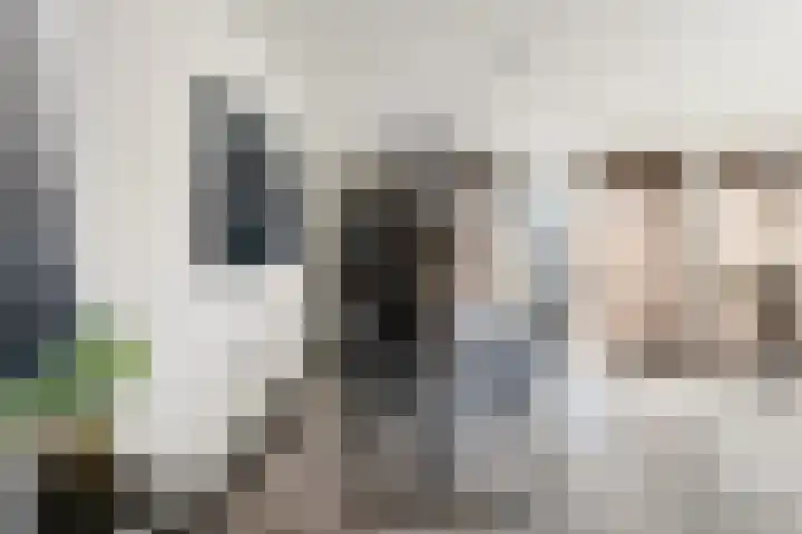 Van Ravesteyn-erf 319 Dordrecht thumbnail 9
