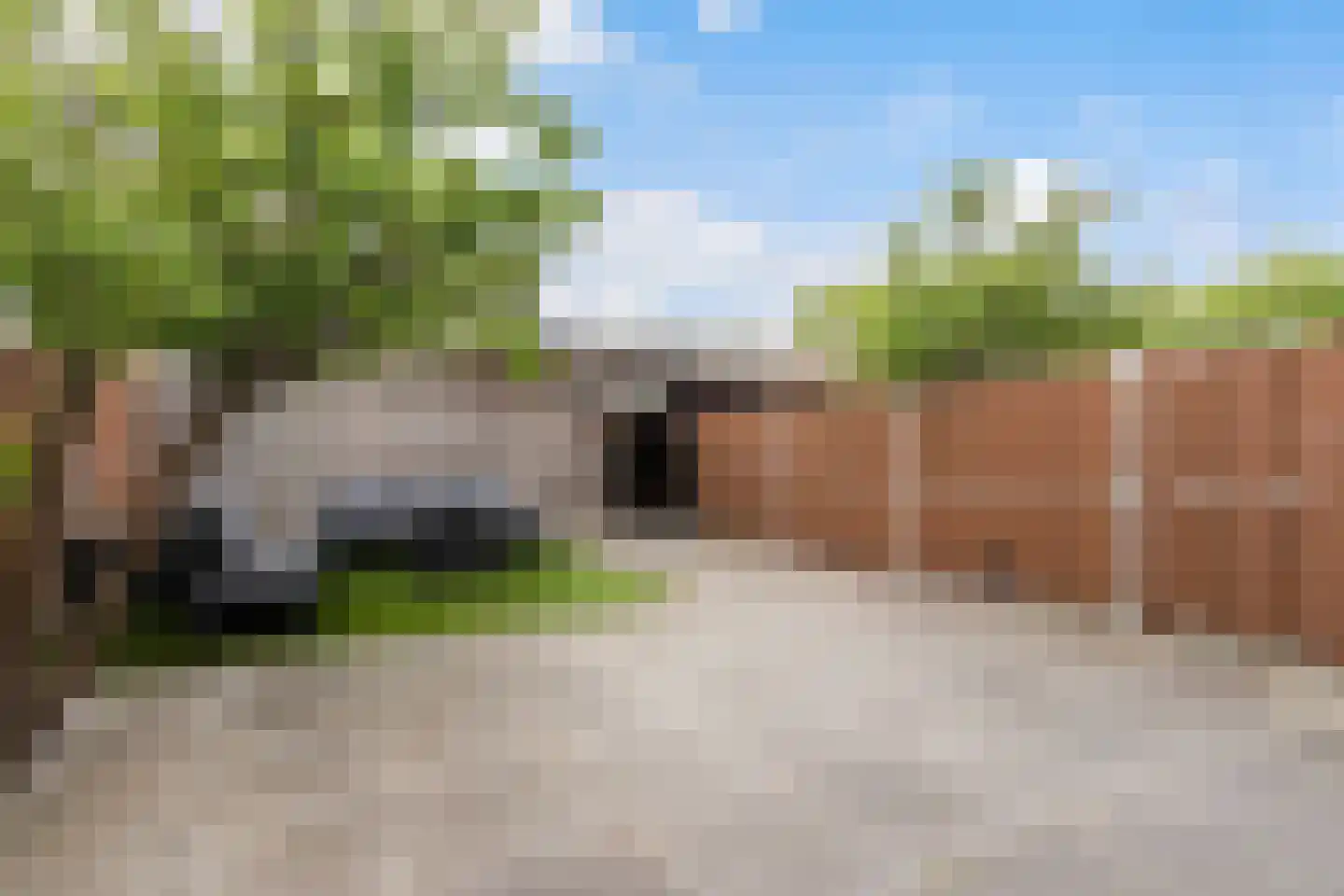 Van Ravesteyn-erf 359 Dordrecht thumbnail 33