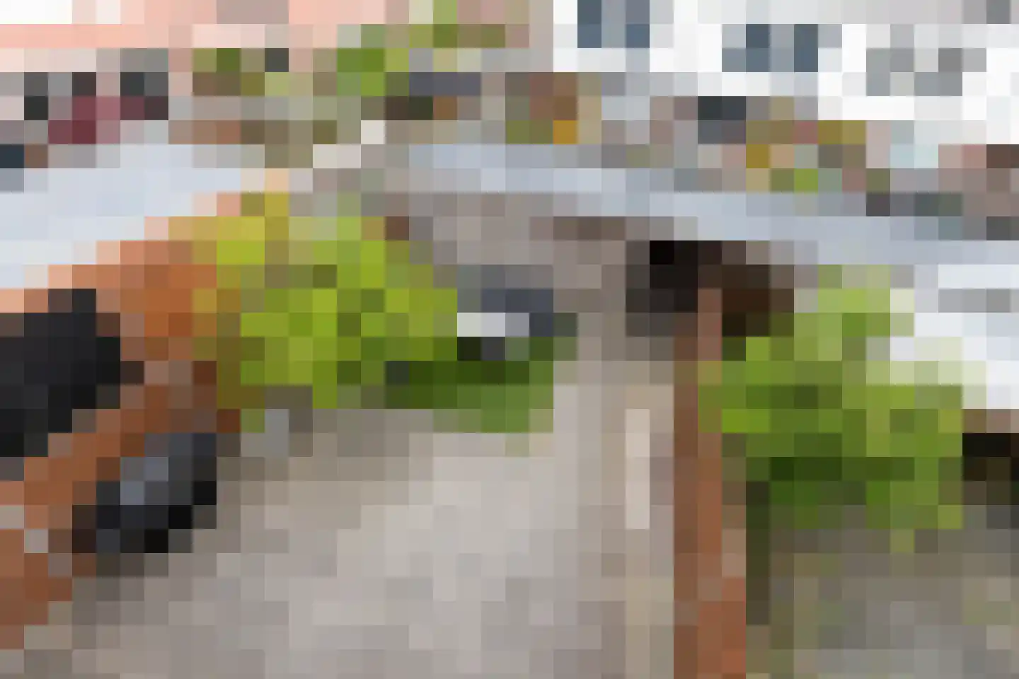 Van Ravesteyn-erf 359 Dordrecht thumbnail 5