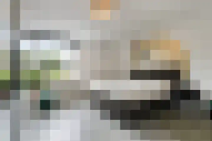 Van Ravesteyn-erf 362 Dordrecht thumbnail 16