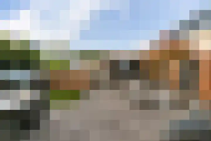 Van Ravesteyn-erf 362 Dordrecht thumbnail 21