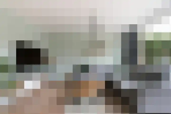Van Ravesteyn-erf 362 Dordrecht thumbnail 6
