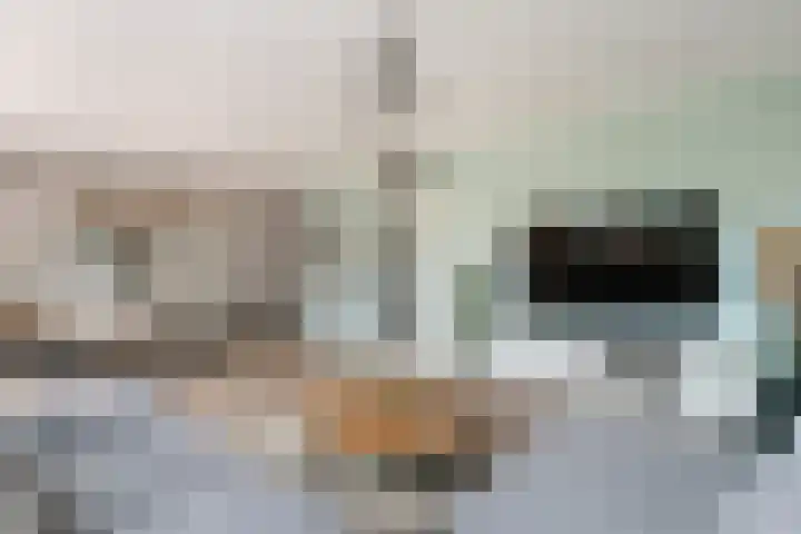 Van Ravesteyn-erf 362 Dordrecht thumbnail 8