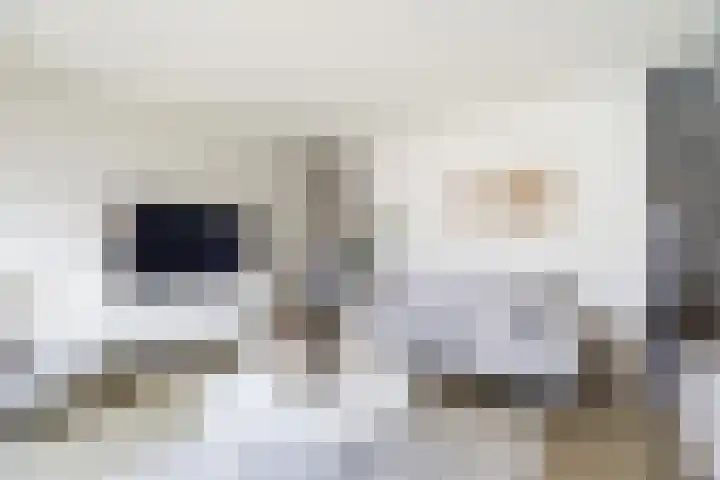Van Ravesteyn-erf 413 Dordrecht thumbnail 10