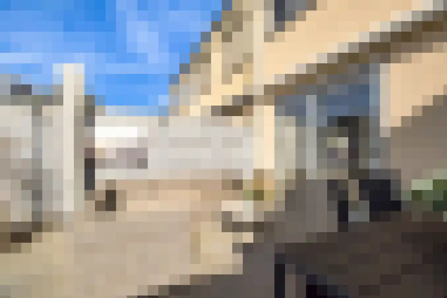 Van Ravesteyn-erf 413 Dordrecht thumbnail 32