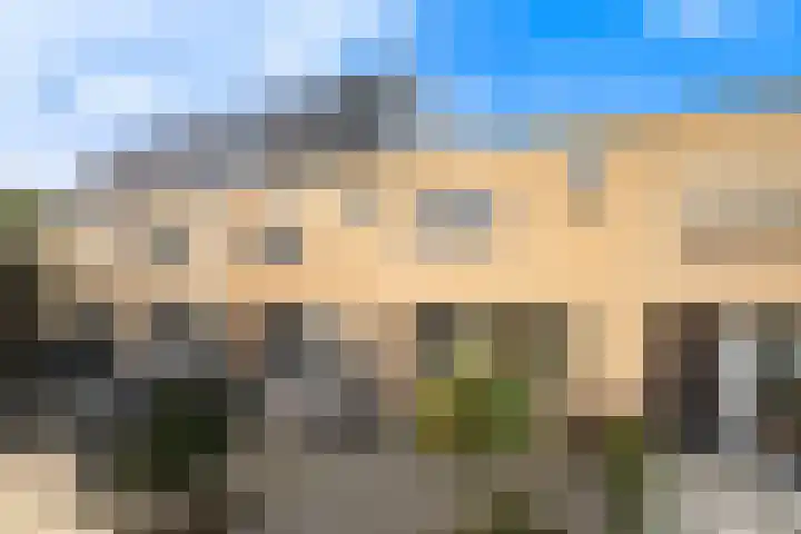Van Ravesteyn-erf 413 Dordrecht thumbnail 43