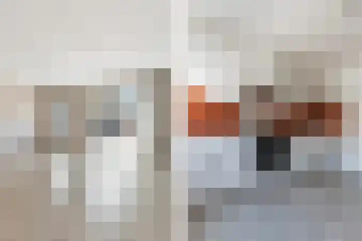 Van Ravesteyn-erf 420 Dordrecht thumbnail 14