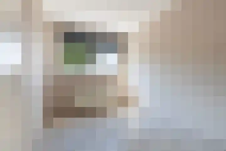 Van Ravesteyn-erf 420 Dordrecht thumbnail 17