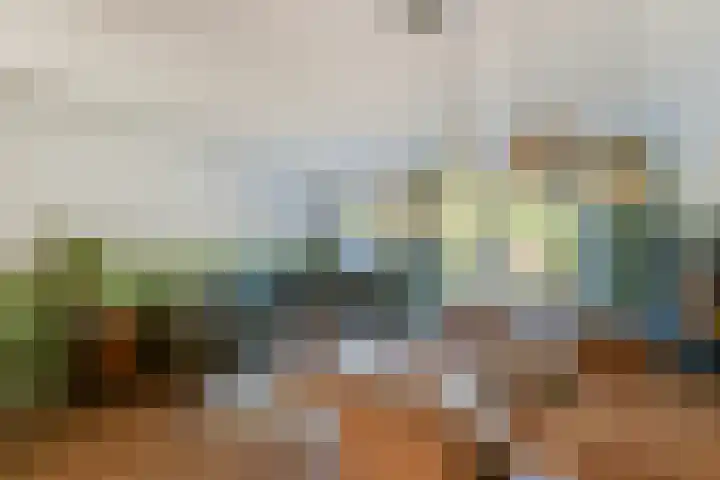 Van Ravesteyn-erf 453 Dordrecht thumbnail 13