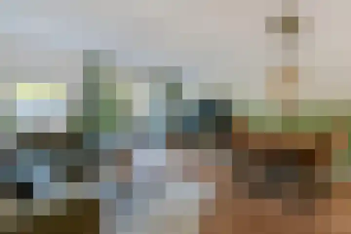 Van Ravesteyn-erf 453 Dordrecht thumbnail 6