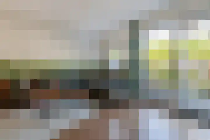 Van Ravesteyn-erf 453 Dordrecht thumbnail 7