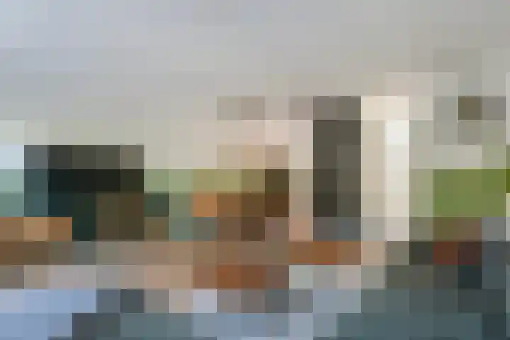 Van Ravesteyn-erf 453 Dordrecht thumbnail 8
