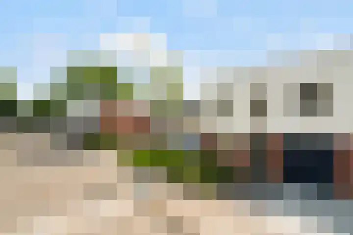 Van Ravesteyn-erf 594 Dordrecht thumbnail 6