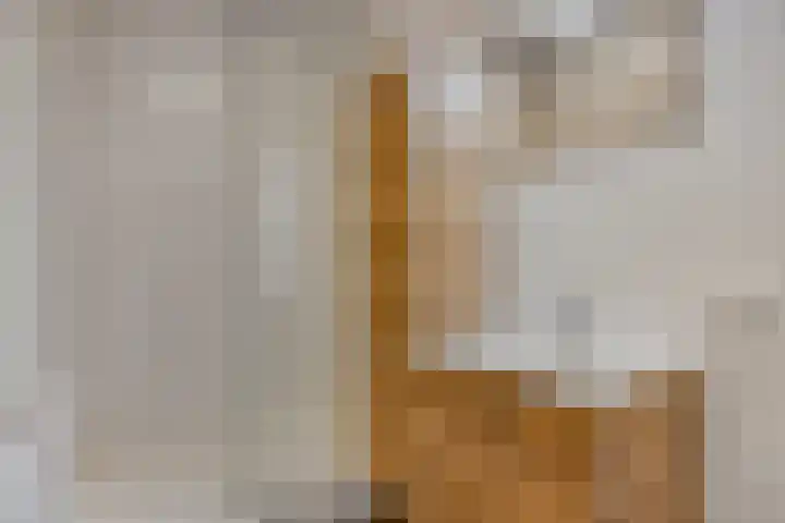 Van Ravesteyndreef 101 Barendrecht thumbnail 16