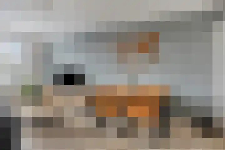 Van Ravesteyndreef 101 Barendrecht thumbnail 5