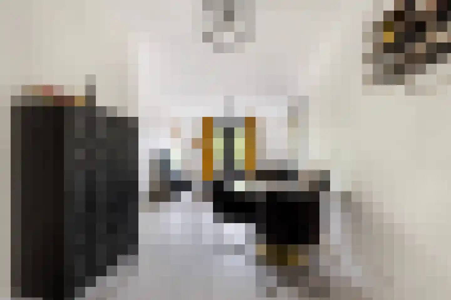 Van Ravesteyndreef 111 Barendrecht thumbnail 6