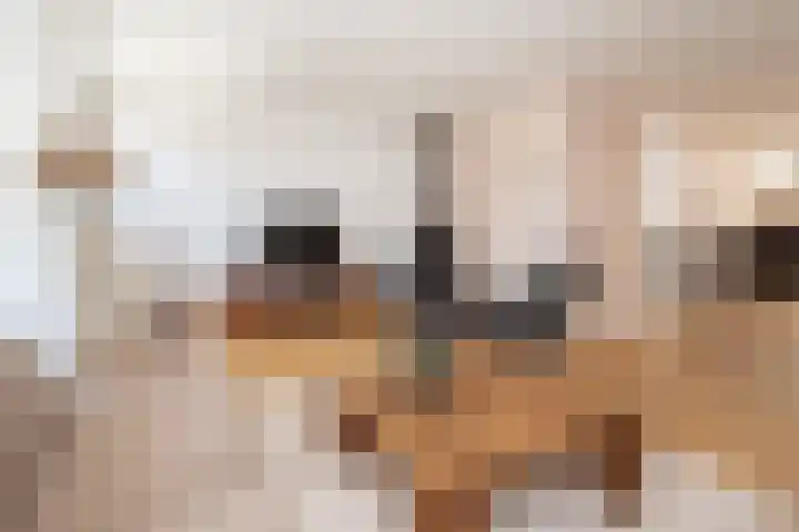Van Ravesteyndreef 2 Barendrecht thumbnail 11