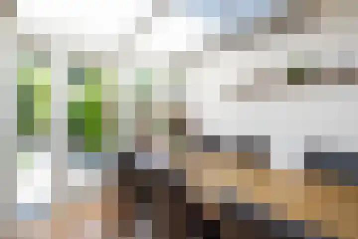 Van Ravesteyndreef 2 Barendrecht thumbnail 14