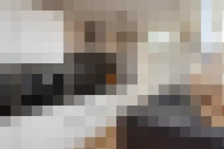 Van Ravesteyndreef 2 Barendrecht thumbnail 20