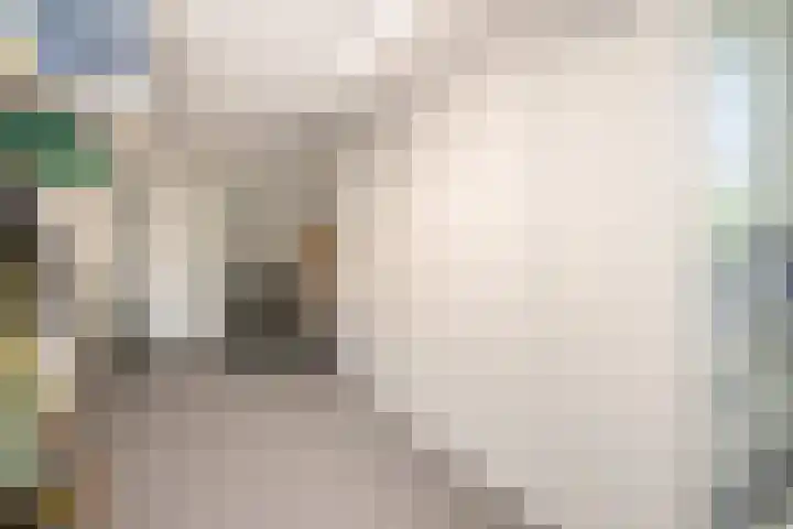 Van Ravesteyndreef 2 Barendrecht thumbnail 24