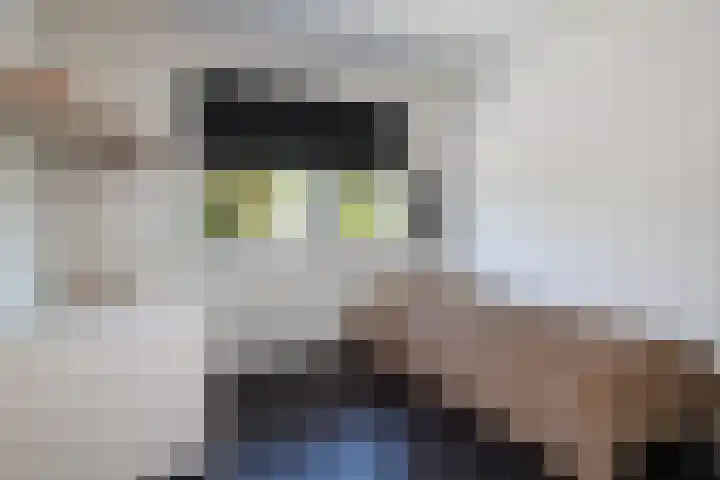 Van Ravesteyndreef 2 Barendrecht thumbnail 28