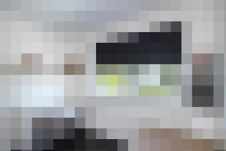 Van Ravesteyndreef 2 Barendrecht thumbnail 29