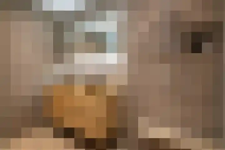 Van Ravesteyndreef 2 Barendrecht thumbnail 31