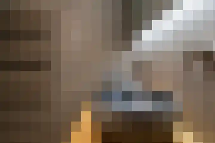 Van Ravesteyndreef 2 Barendrecht thumbnail 32