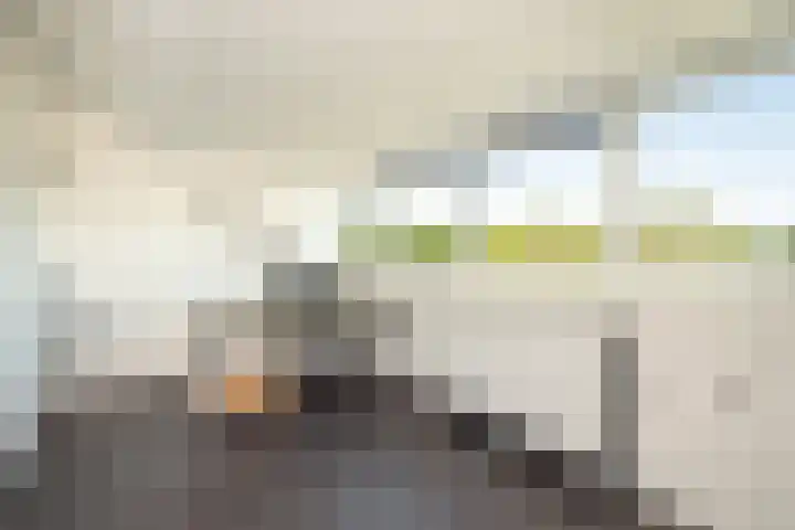 Van Ravesteyndreef 2 Barendrecht thumbnail 34