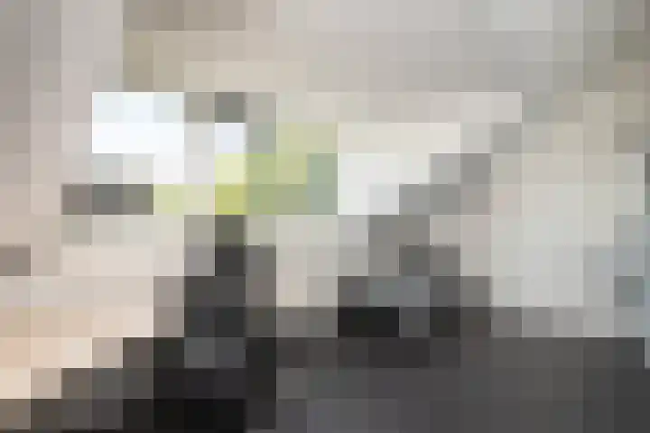 Van Ravesteyndreef 2 Barendrecht thumbnail 35