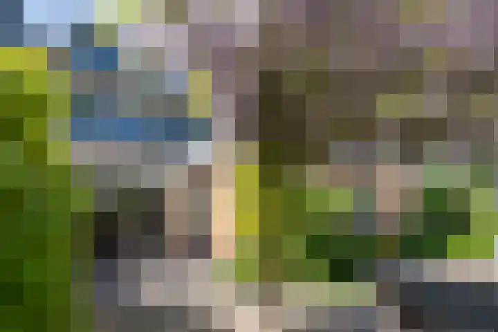 Van Ravesteyndreef 2 Barendrecht thumbnail 39