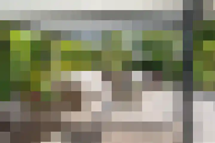 Van Ravesteyndreef 2 Barendrecht thumbnail 42