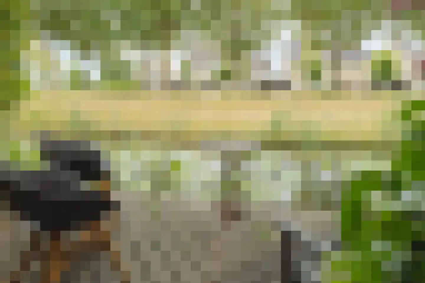Van Ravesteyndreef 30 Barendrecht thumbnail 6