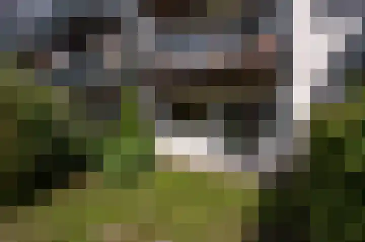 Van Ravesteyndreef 63 Barendrecht thumbnail 11